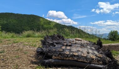 a large black piece of fiberglass covered in metal bolts and plates lies on the ground beside a trail leading into a forest. mountains can be seen rolling in the distance