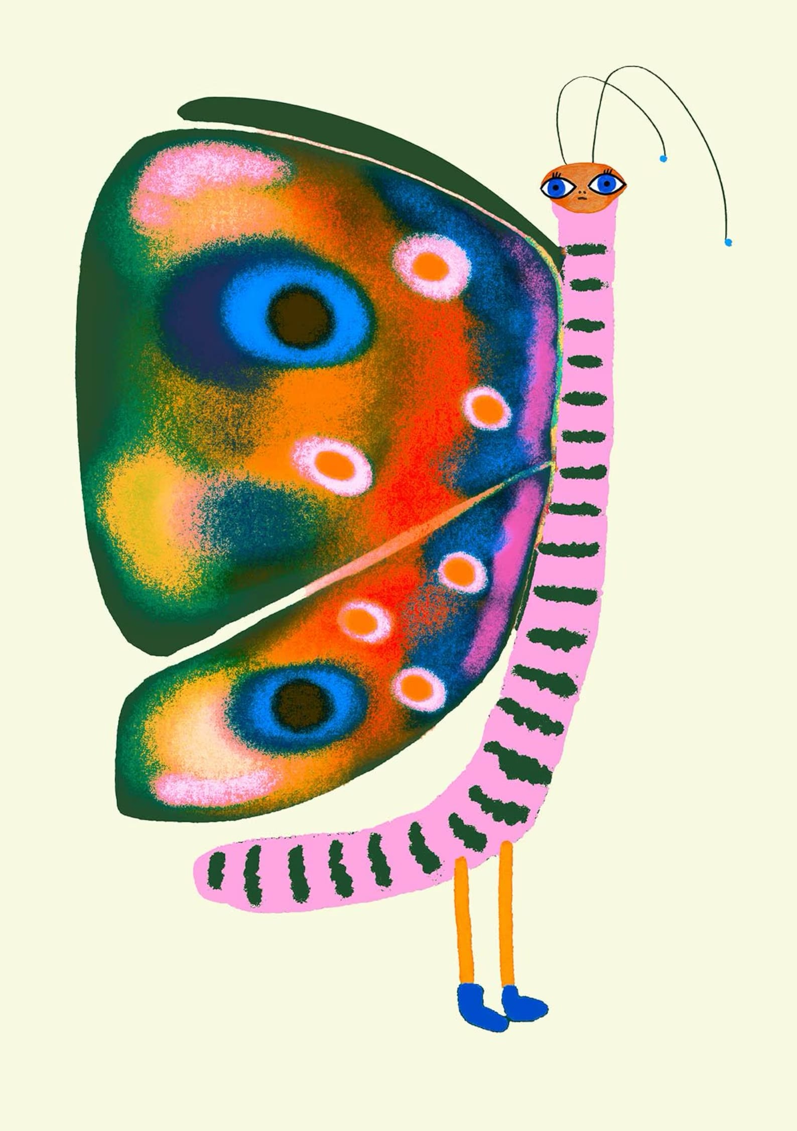an illustration by ashley percival of a colorful patterned butterfly