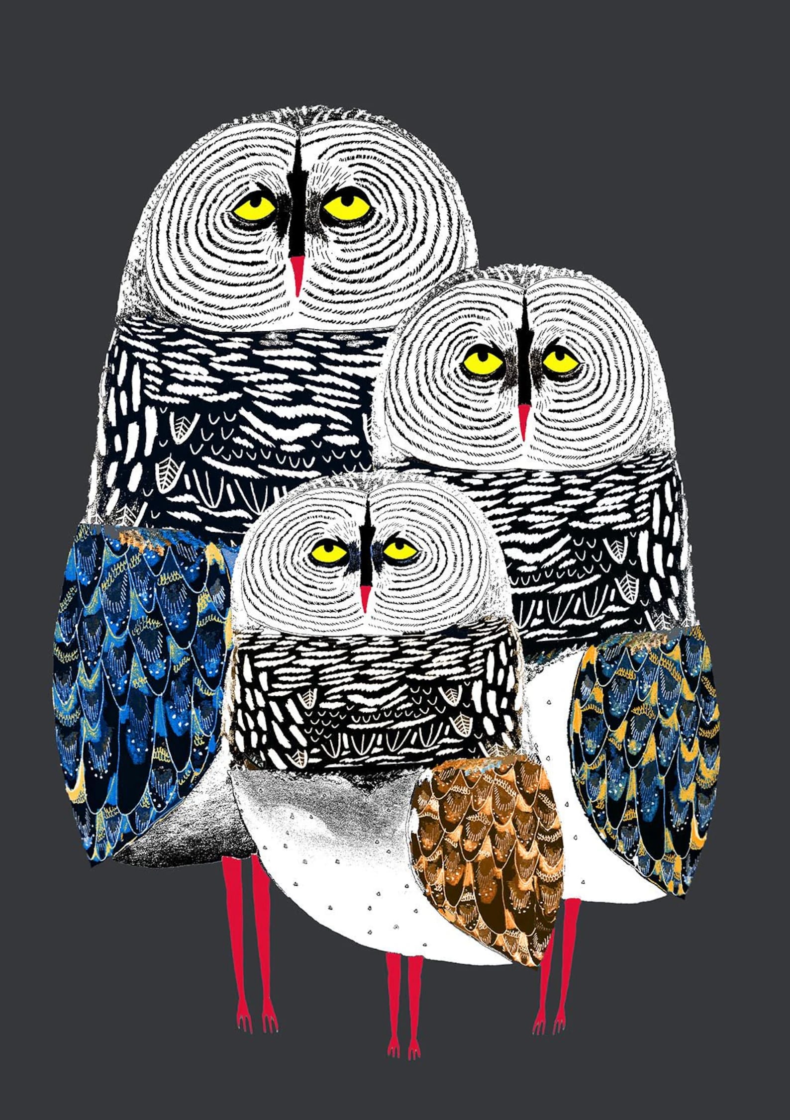 an illustration by ashley percival of three owls made of colorful patterns