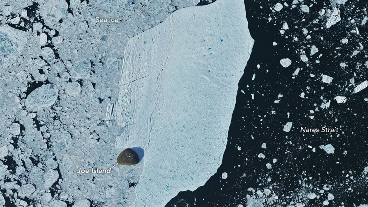 Greenland's Wayward Ice Island Just Smashed Into Joe Island—and Survived