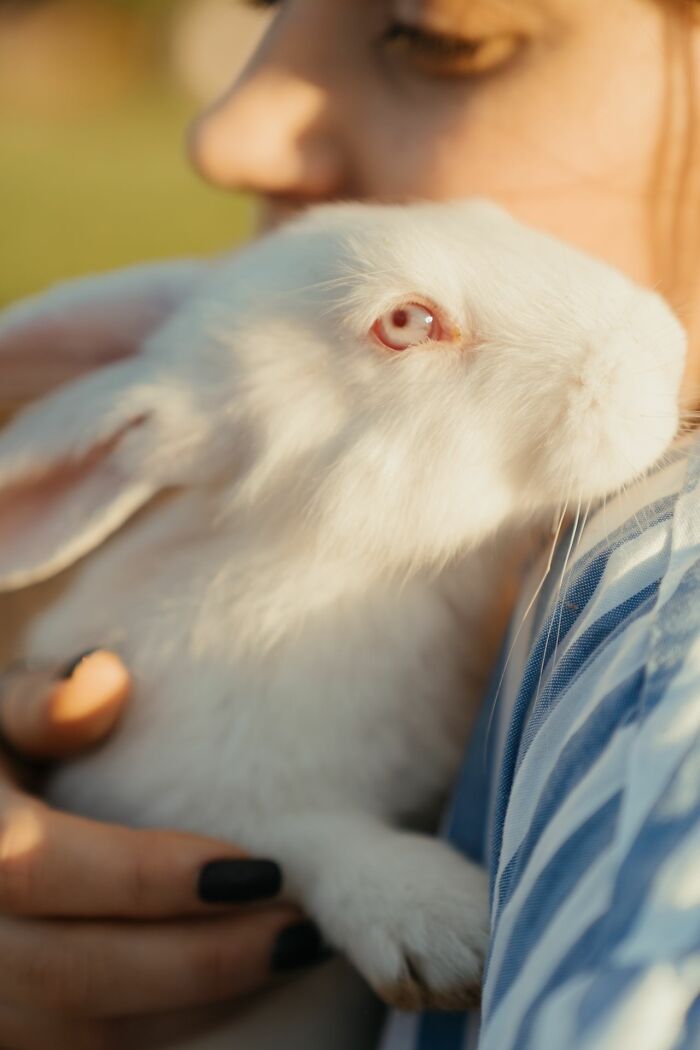 Aita For Making My Daughter Move Her Pet Rabbit Outside Due To My Stepson's Allergies?