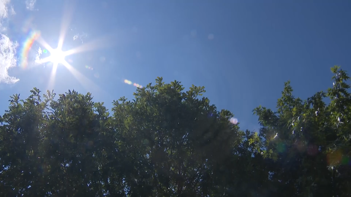 Extreme heat may be hurting your mental and physical health video – NBC 5 Dallas-Fort Worth