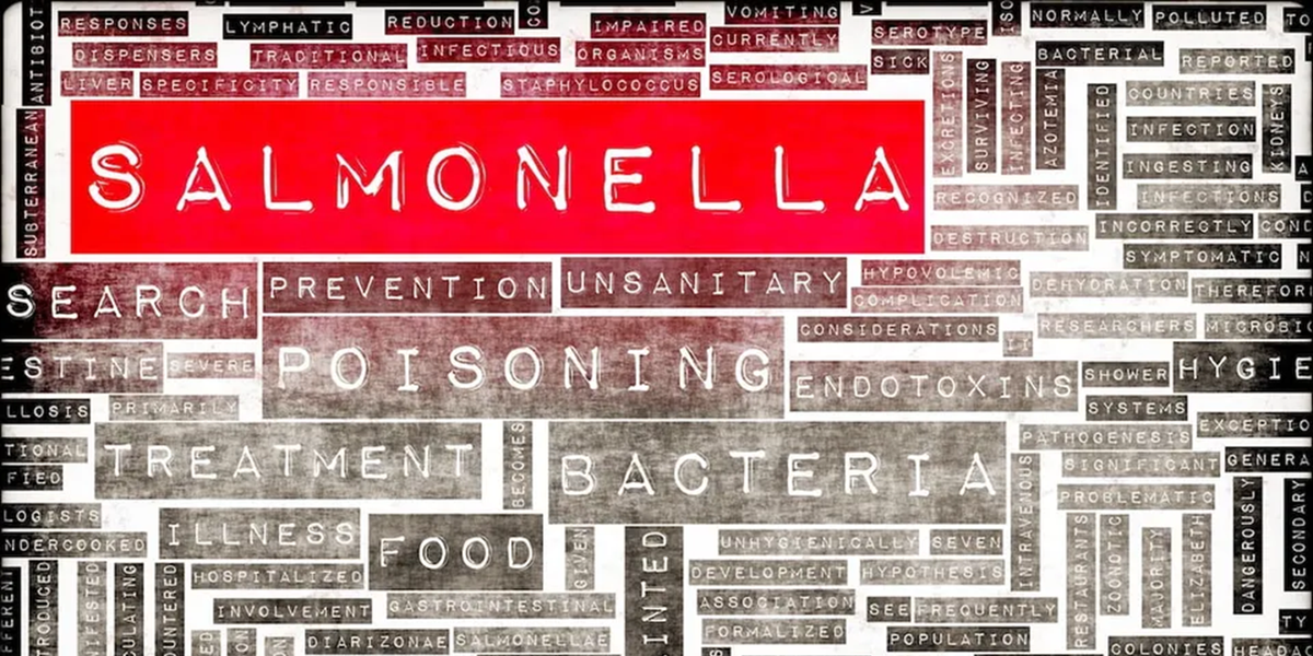 50 more people sick in UK Salmonella outbreak; total count tops 500
