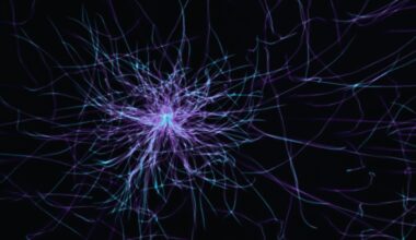 How My Brain Reflects Yours