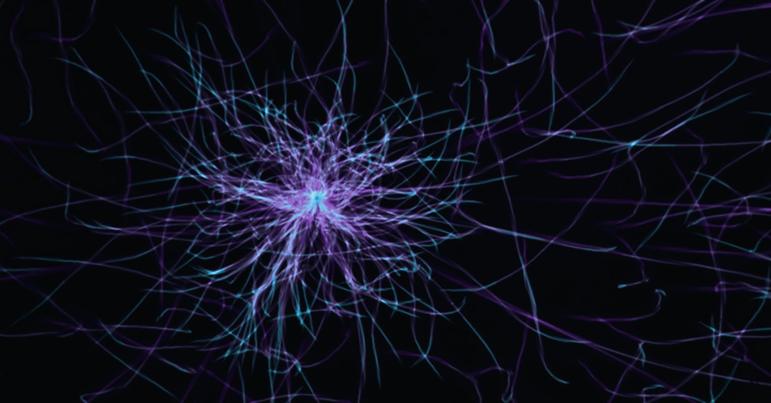 How My Brain Reflects Yours