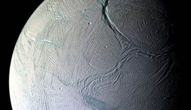Scientists Find Microbial Life Could Survive on Saturn's Icy Moon Enceladus