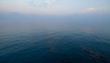 The Parts Of The Ocean Where Almost Nothing Lives