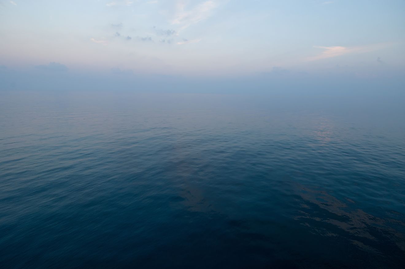 The Parts Of The Ocean Where Almost Nothing Lives