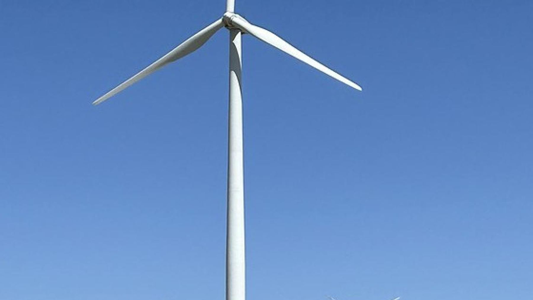 Single wind turbine with one black blade against blue sky, black blade bird fatalities study, Spain, spanish wind farm