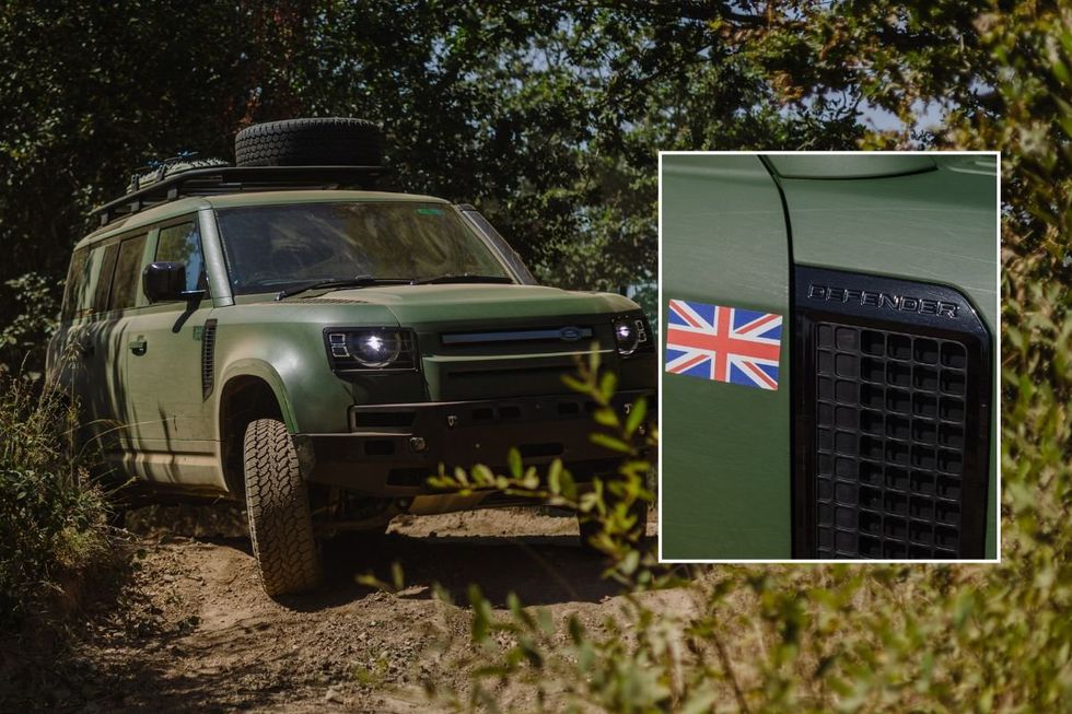 The Defender Wolf Series II