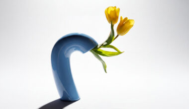 a vase that follows the full arc of a flower’s life, even as petals fall