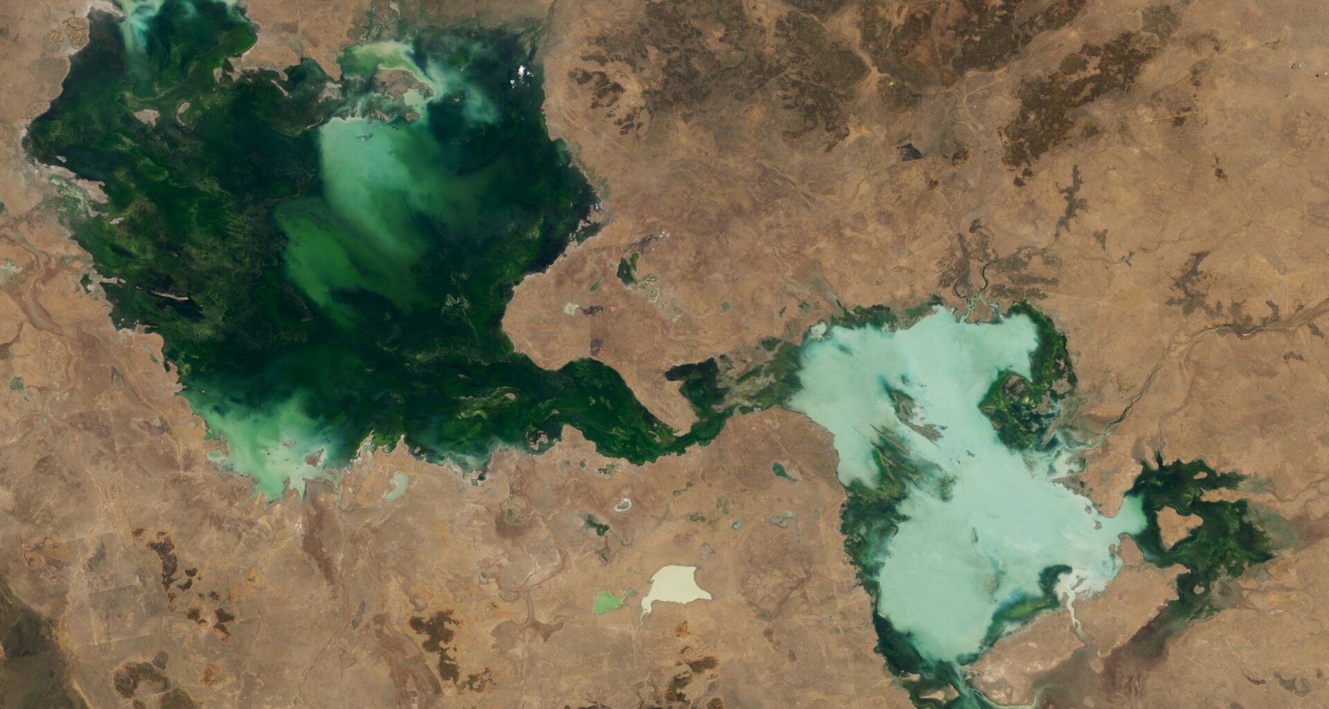 Ghostly green lakes merge in Australian outback after 2 years of heavy rain — Earth from space