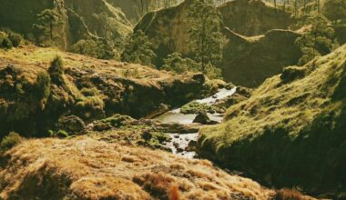 Until It’s Gone: Escaping the Trap of Habituation