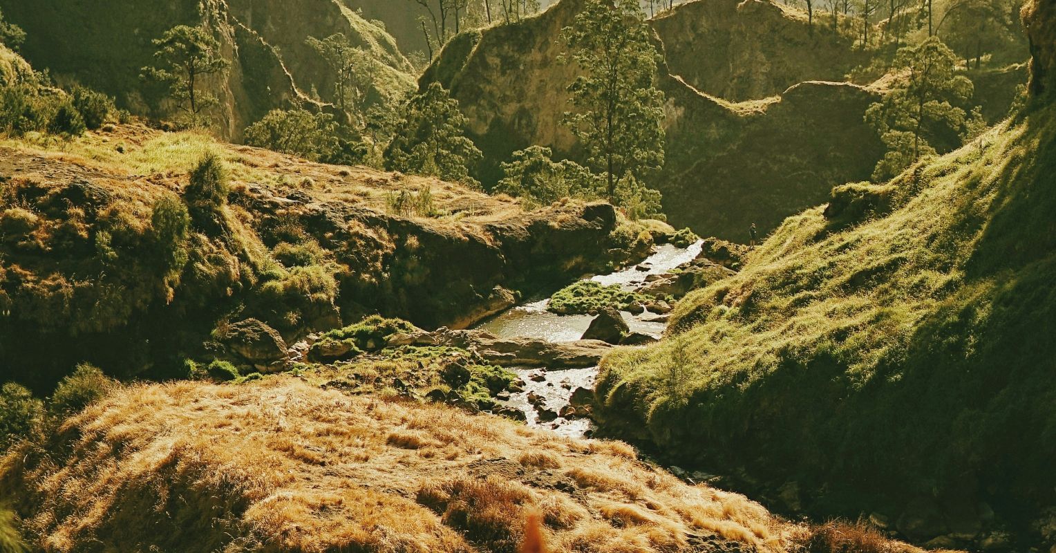 Until It’s Gone: Escaping the Trap of Habituation