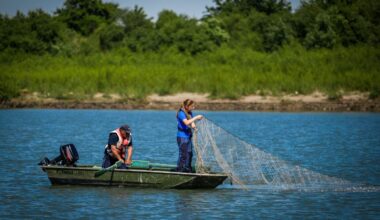 Liavrenti Janelidze and Tamar Edisherashvili, Sturgeon Research Team