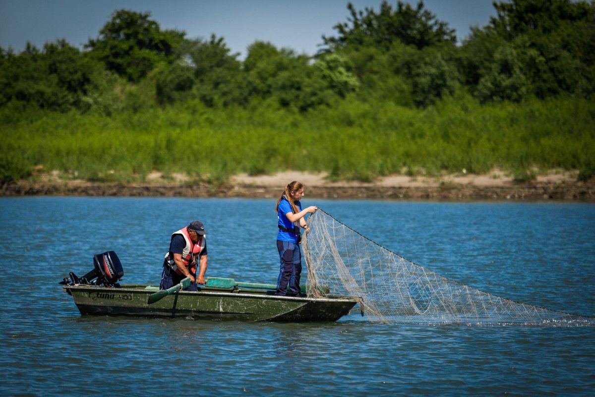 Liavrenti Janelidze and Tamar Edisherashvili, Sturgeon Research Team