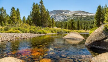 Dana Fork, Yosemite National Park