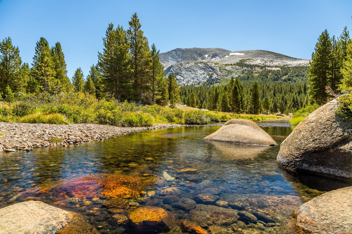 Dana Fork, Yosemite National Park