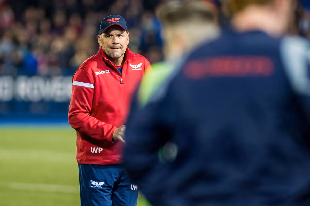 Scarlets coach Wayne Pivac