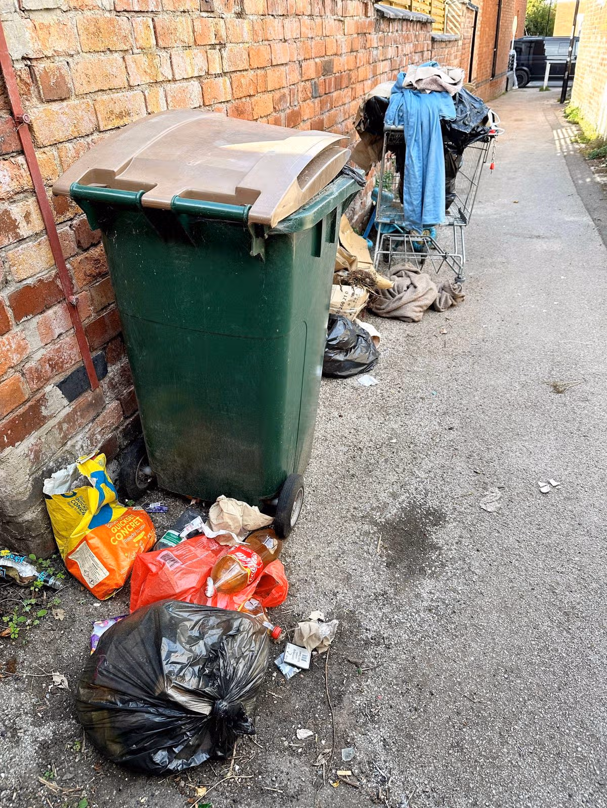 An image depicts a green refuse container placed against a brick wall, accompanied by scattered garbage and litter, including plastic bags and various waste materials, on the pavement.