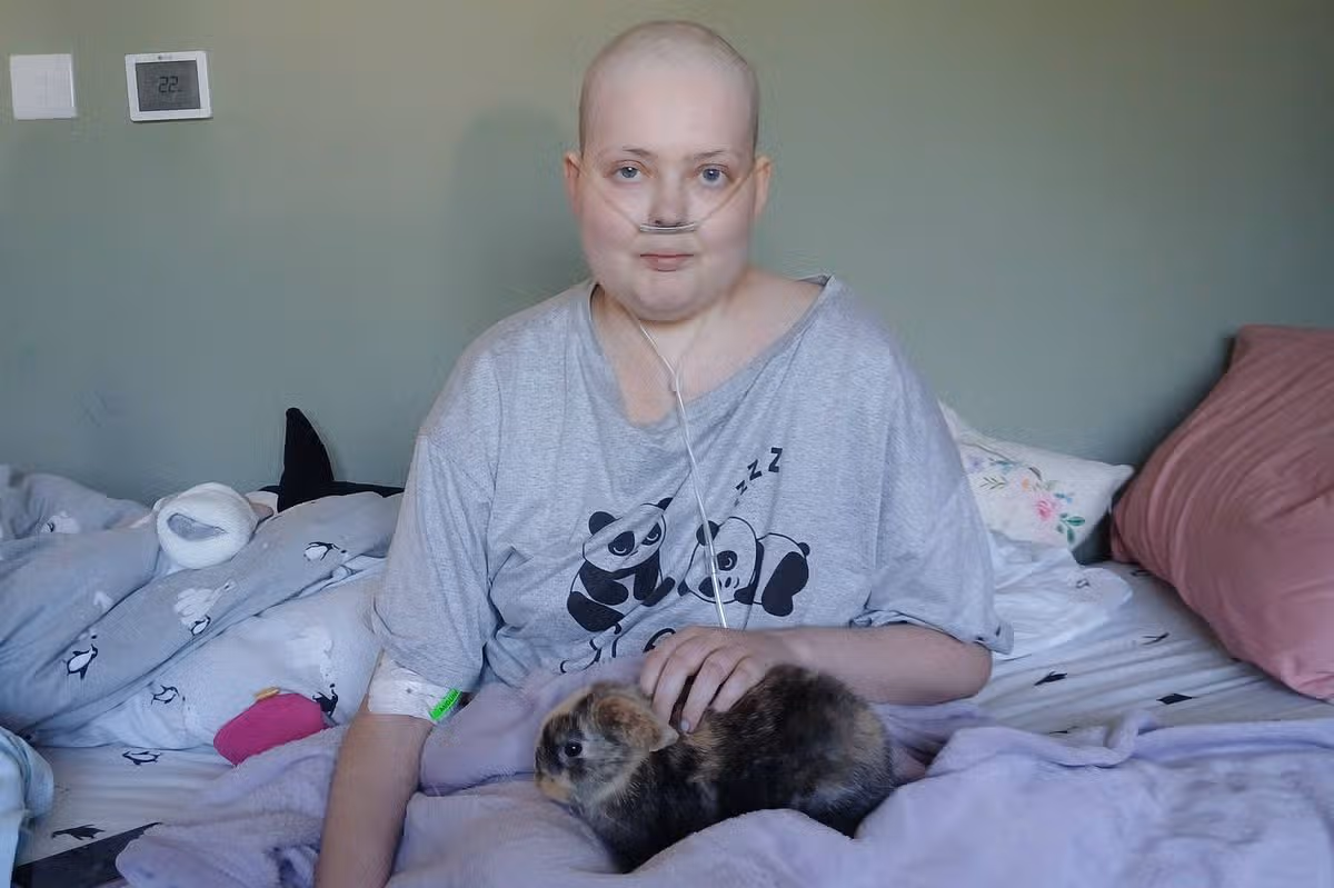 An individual with a bald head, likely undergoing chemotherapy, is seated on a bed and holding a small, possibly a cat, with a serene expression on their face. The setting appears to be a bedroom, with various items such as pillows, blankets, and other personal belongings scattered around.