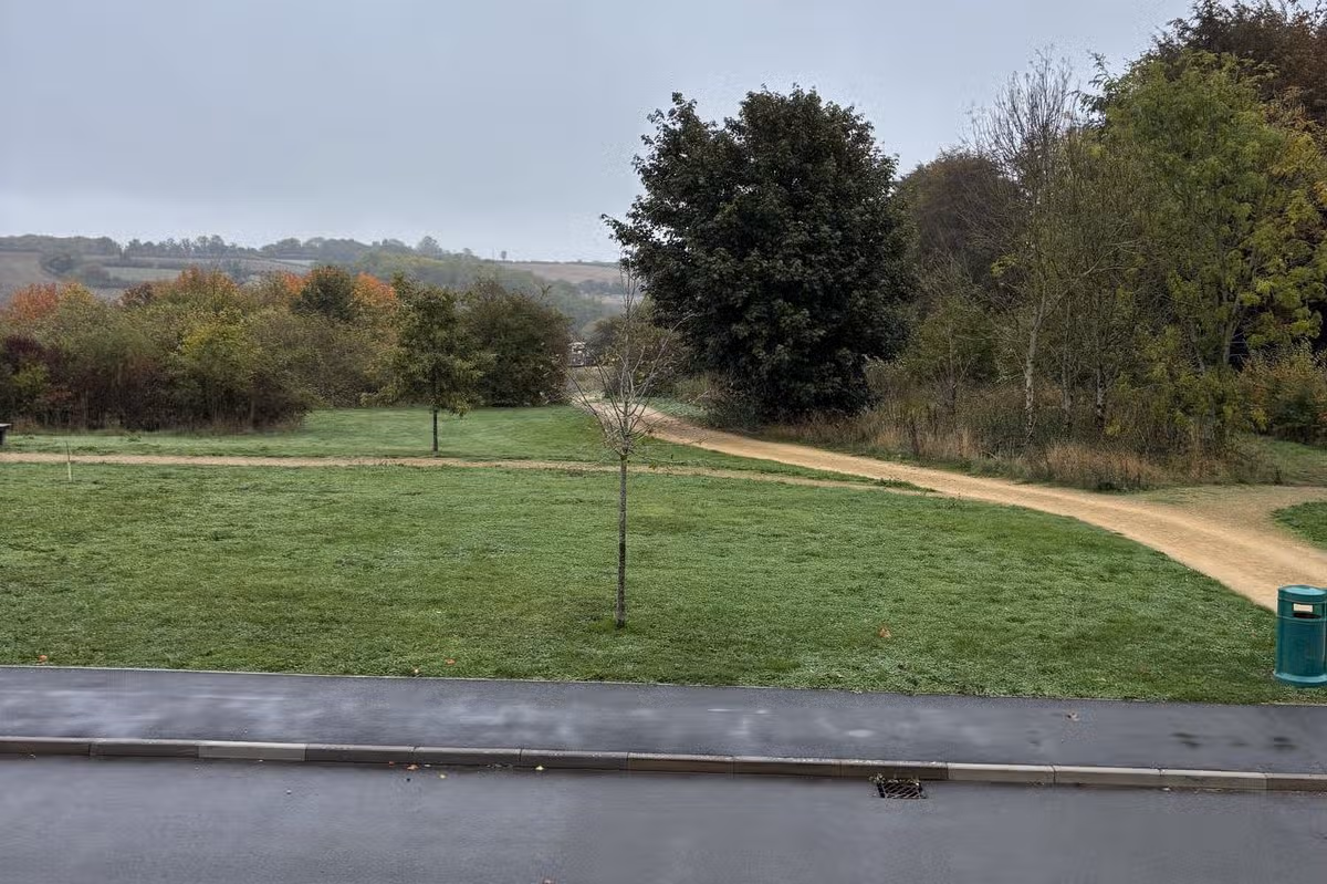 The green where Susan Bates spotted the supposed big cat