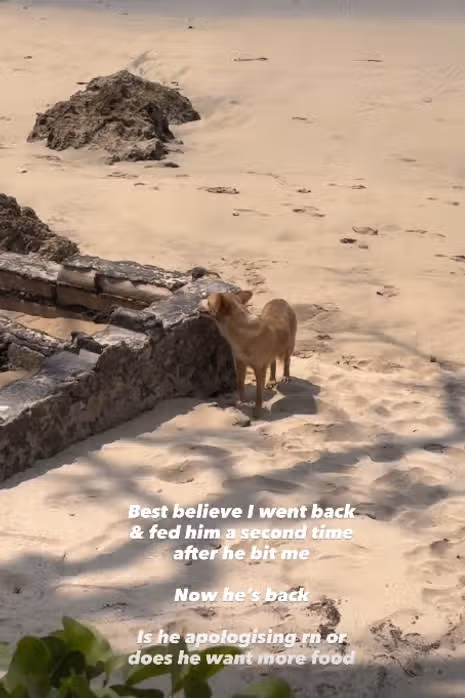 Kim posted about a dog attack to her instagram