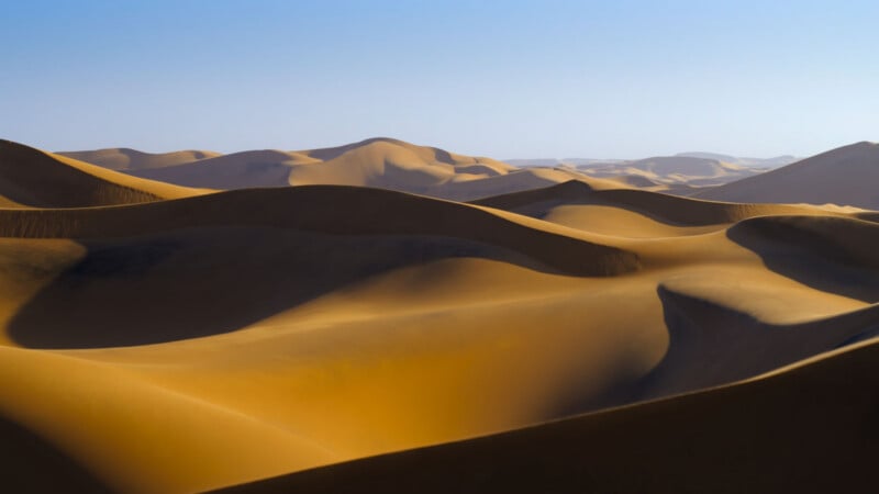 Expansive, rolling sand dunes under a clear blue sky, featuring deep shadows and golden highlights.