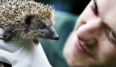 Wildlife rescue closed to new admissions due to shortage