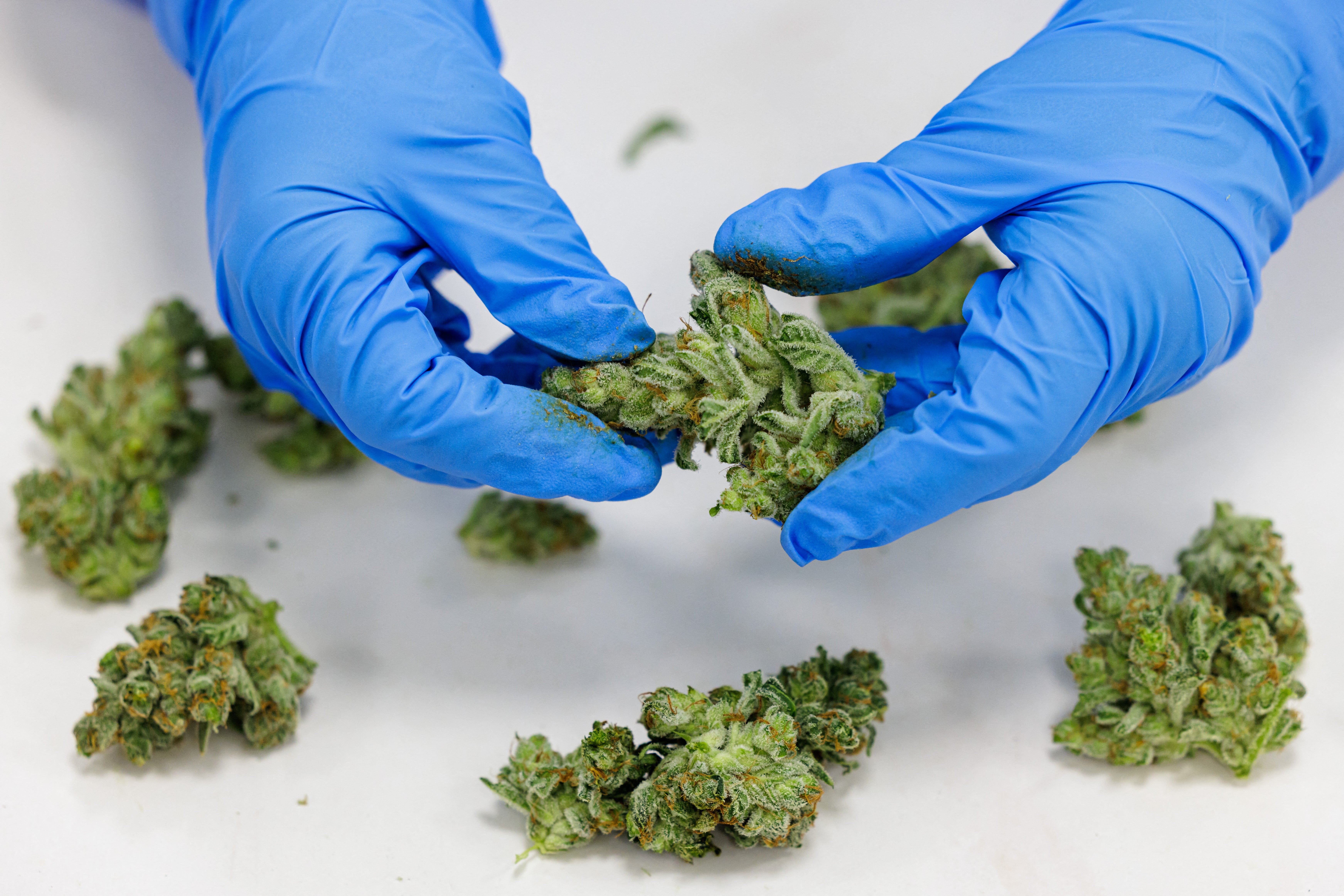 Medical cannabis is marketed as being able to treat a range of conditions, from anxiety, depression and ADHD, through to chronic pain, migraines and Crohn’s disease