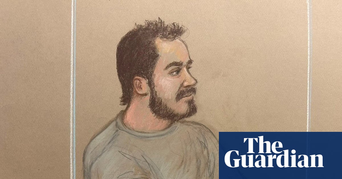 Ann Widdecombe murder suspect charged with planning terror act against Nigel Farage | UK news