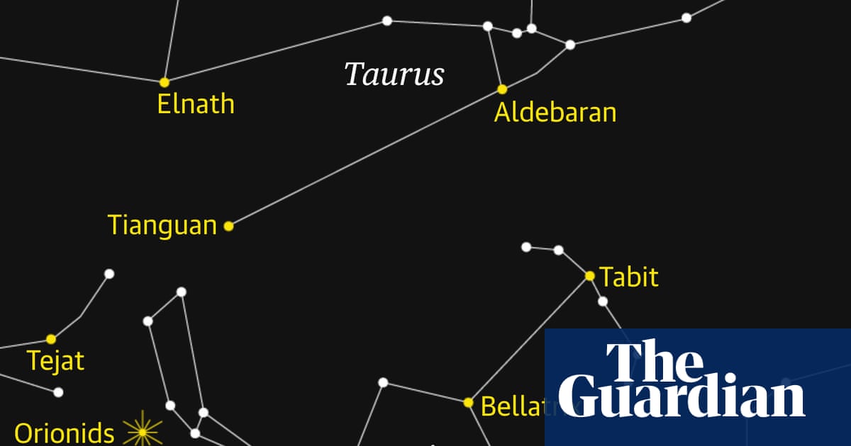 Starwatch: Catch the Orionid meteor shower streak across the night sky | Science