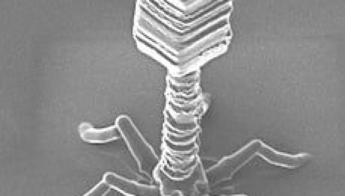 Human receives AI-designed virus for the first time