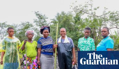 One green shoot at a time: the women restoring mangrove forests in the oil-ravaged Niger delta | Global development