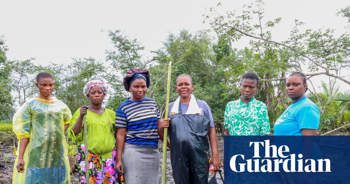 One green shoot at a time: the women restoring mangrove forests in the oil-ravaged Niger delta | Global development