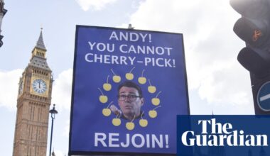 Half of UK wants to rejoin EU and backing it could drive up Labour vote, megapoll finds | European Union