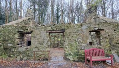 Cottage featured in Hollywood film to help save Welsh red squirrels