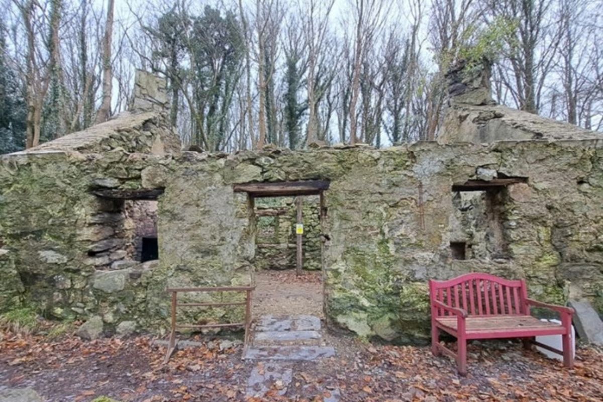 Cottage featured in Hollywood film to help save Welsh red squirrels