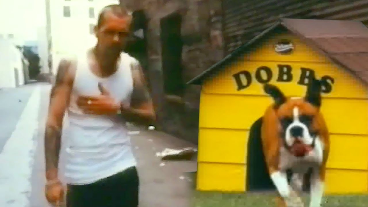 Snot - Stoopid [Official Video] [HD - BEST QUALITY] - YouTube