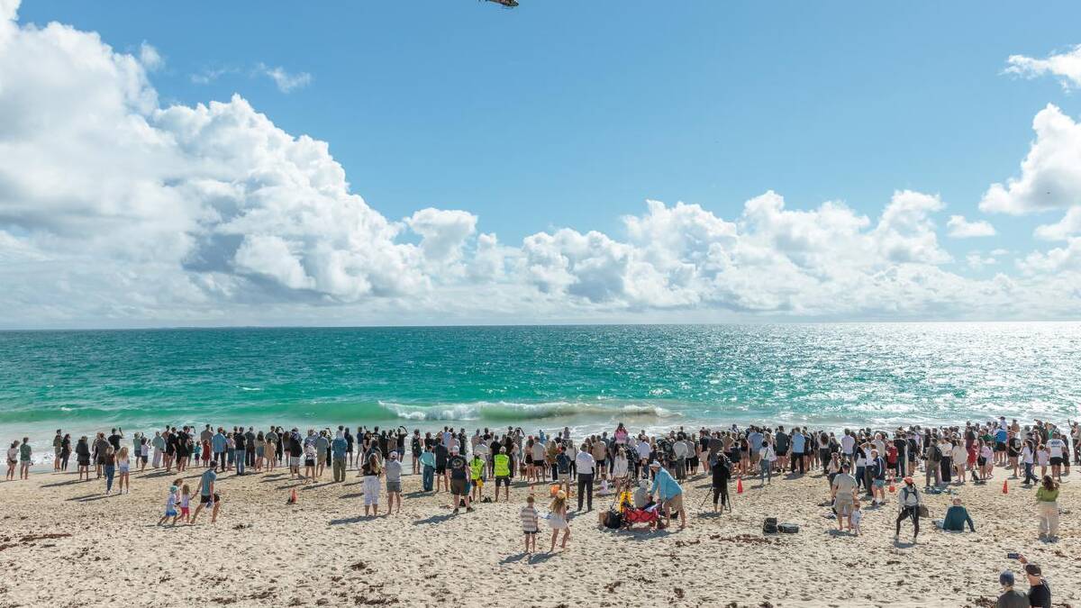 Swimmers and surfers can get alerts via the SharkSmart WA app and website. (Richard Wainwright/AAP PHOTOS)