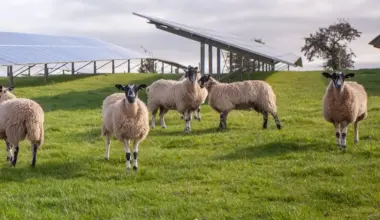 Net Zero: Giant solar farm the size of 1,200 football pitches approved despite losing fertile arable farmland for 60 years