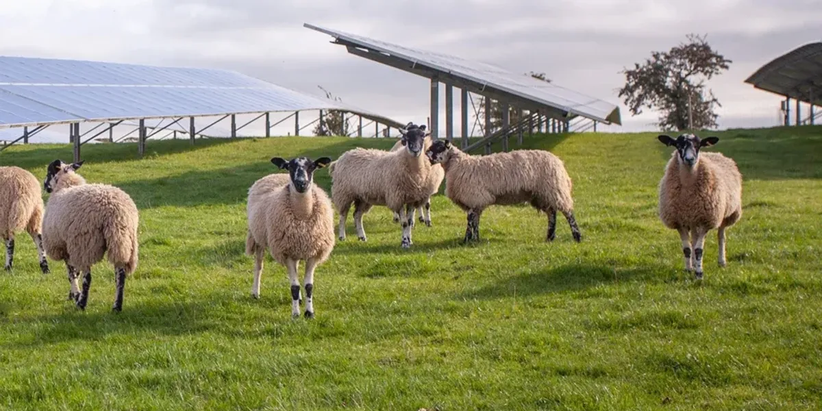 Net Zero: Giant solar farm the size of 1,200 football pitches approved despite losing fertile arable farmland for 60 years