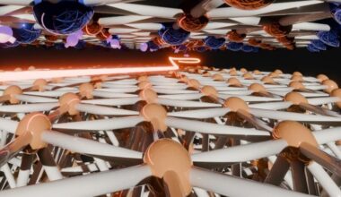 Heavy Fermion at Interface