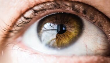 Statins May Protect People From Glaucoma or Blindness By Preventing or Slowing Nerve Cell Death