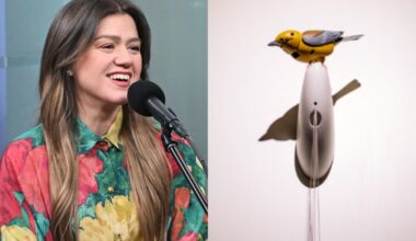 Everything we know about Kelly Clarkson’s beef with a Brooklyn store