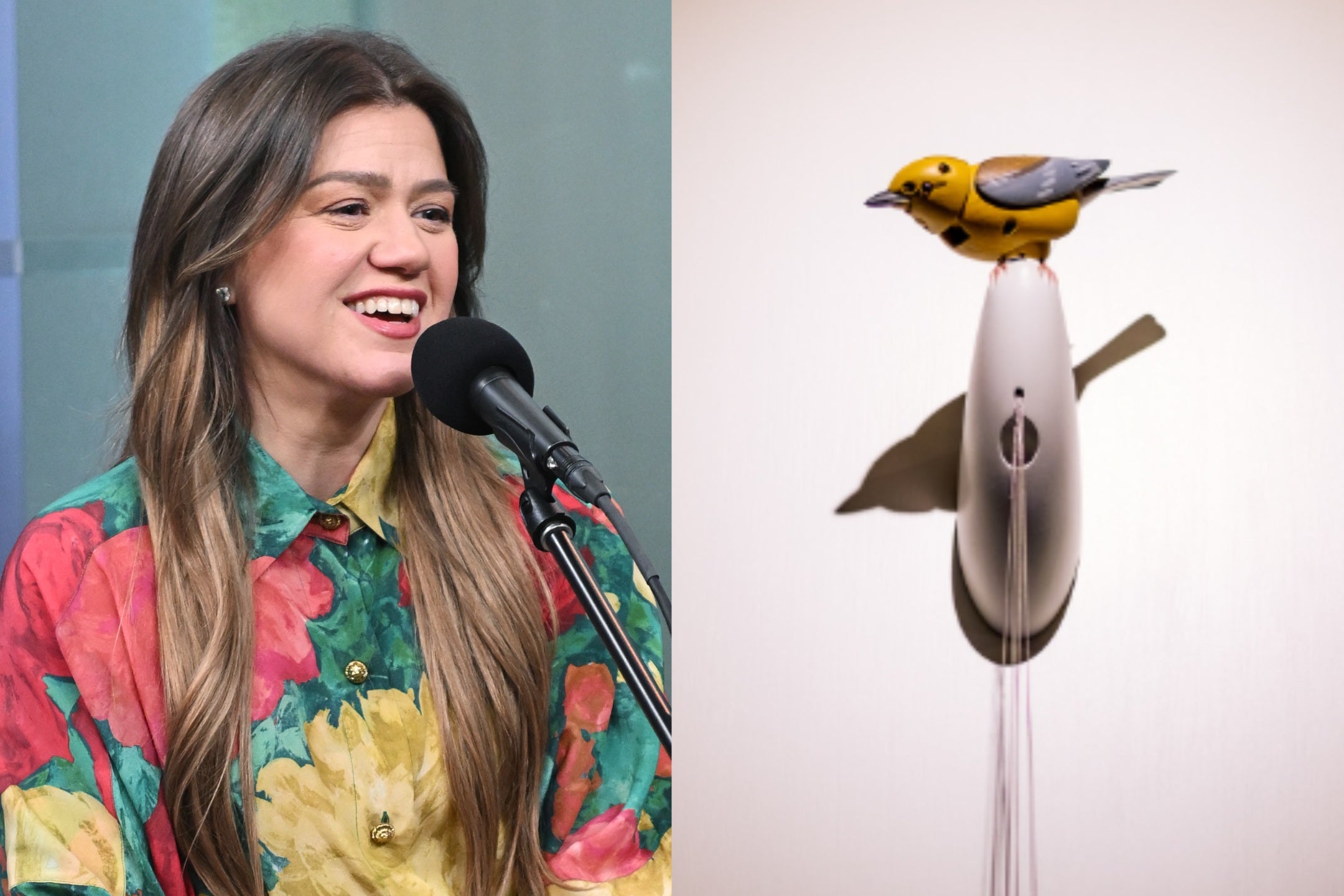 Kelly Clarkson said she was told in a condescending tone that the bird cost $15,000
