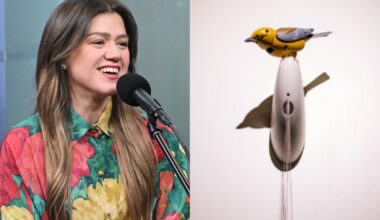 Everything we know about Kelly Clarkson’s beef with a Brooklyn store