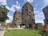 Oppo Find X10 0.6x - 15mm, f/2.0, ISO 50, 1/281s (5888x4416px) - News 26 10 Oppo Find X10 Series Camera Samples review