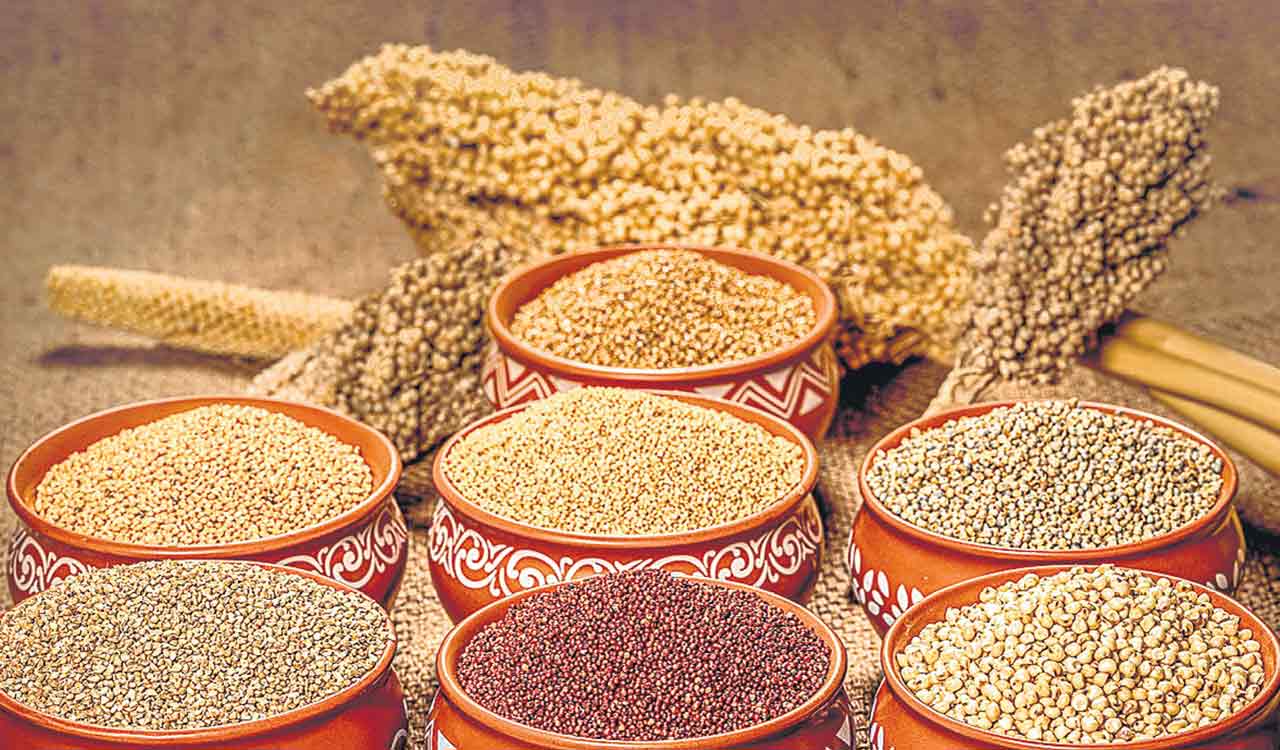 How hidden hunger and processed foods are short-changing Telangana’s health