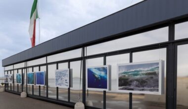 ‘we are all marine animals, we just forgot’ enzo barracco on oceans